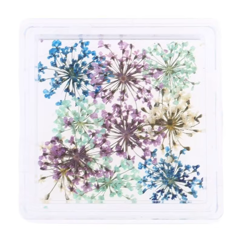 Nails fleurs séchées Charms japonais charmes