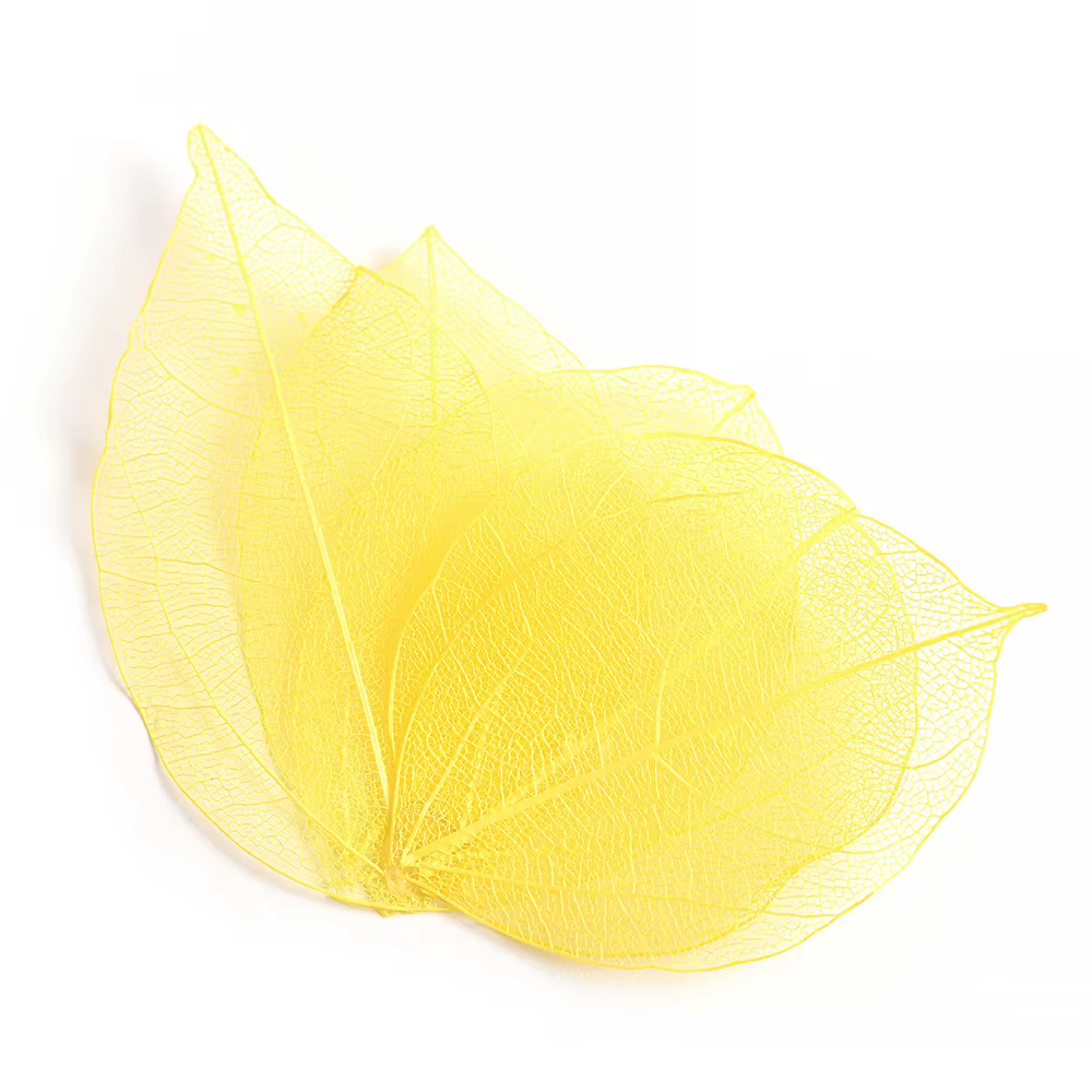 Fleurs séchées en 3D pour décoration des ongles, scalpe floral naturel, mélange de fleurs sèches, br