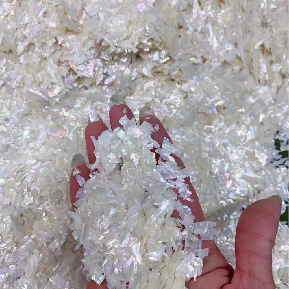 Breloques à ongles en coquillage d'ormeau naturel, nickel é ultra-mince, tranches irrégulières d'orm