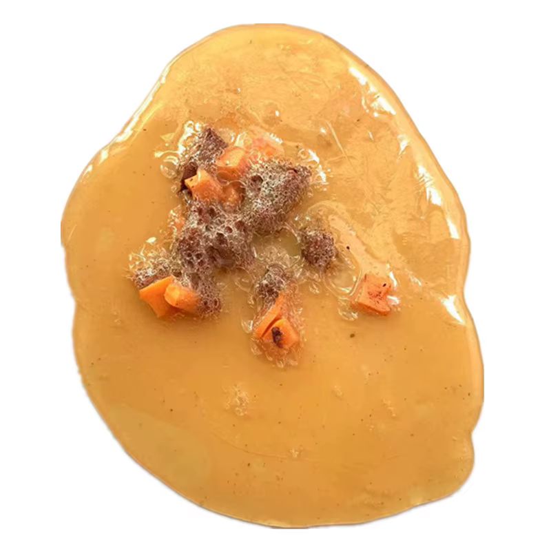 Faux jouet de farces à vomir réaliste, jouet alimentaire pour Halloween, poisson d'avril, ami amusan
