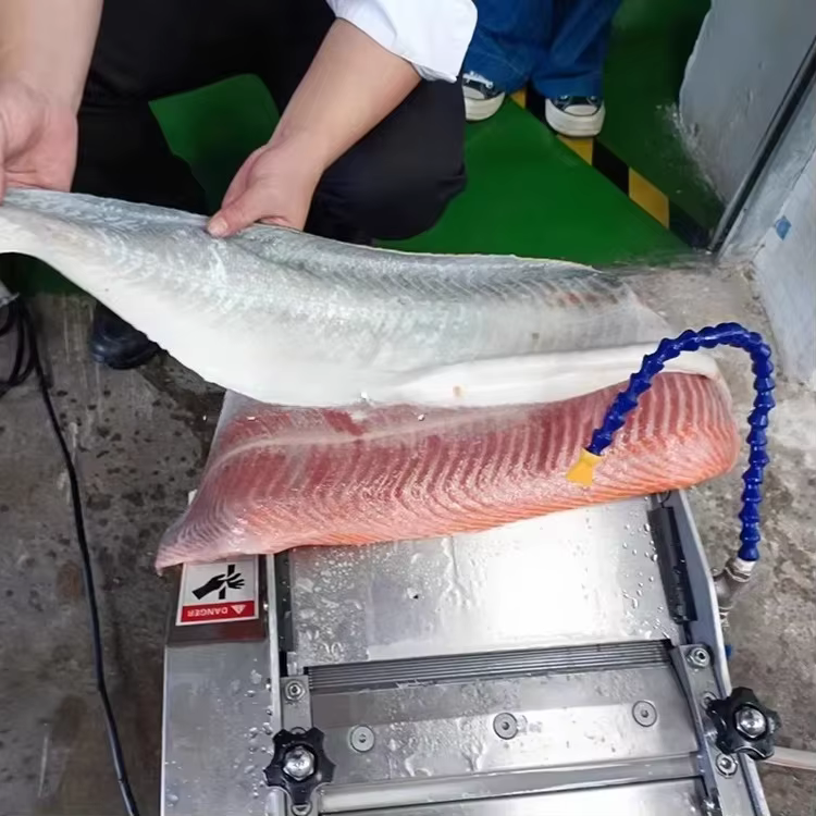 Tilapia chat thon morue thon poisson peau enlever éplucheur Peeling élimination Machine Table automa