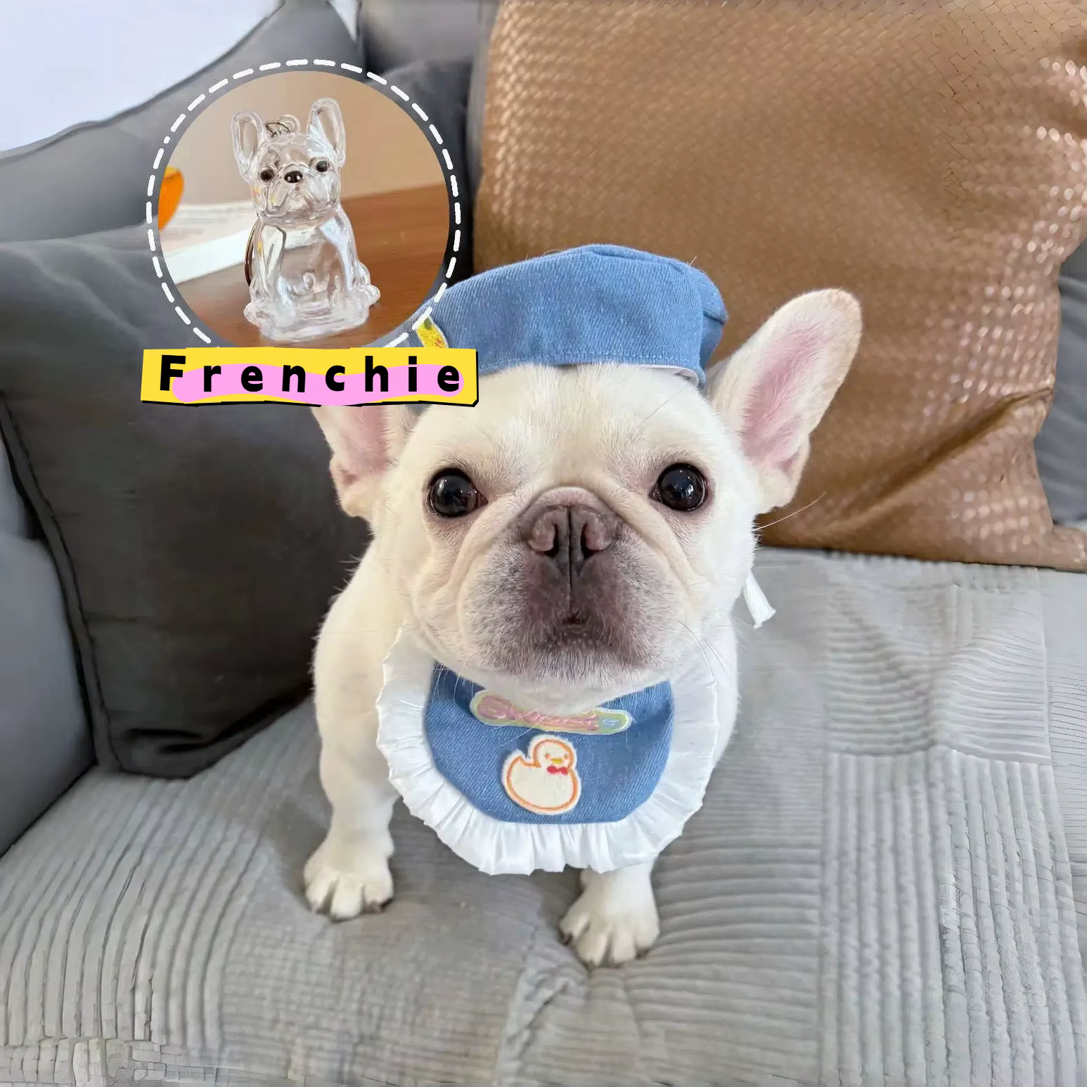 Porte-clés de rangement pour poils de chien, pendentif mignon pour sac, Couple, voiture, bijoux, Col