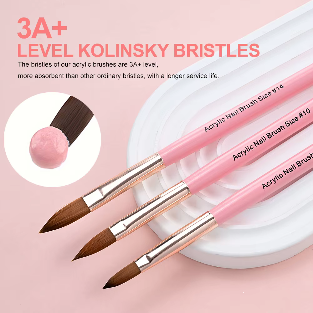 3 pièces 8/10/14 # Kolinsky acrylique brosse à ongles Poly Extension Gel brosse vernis à ongles sc