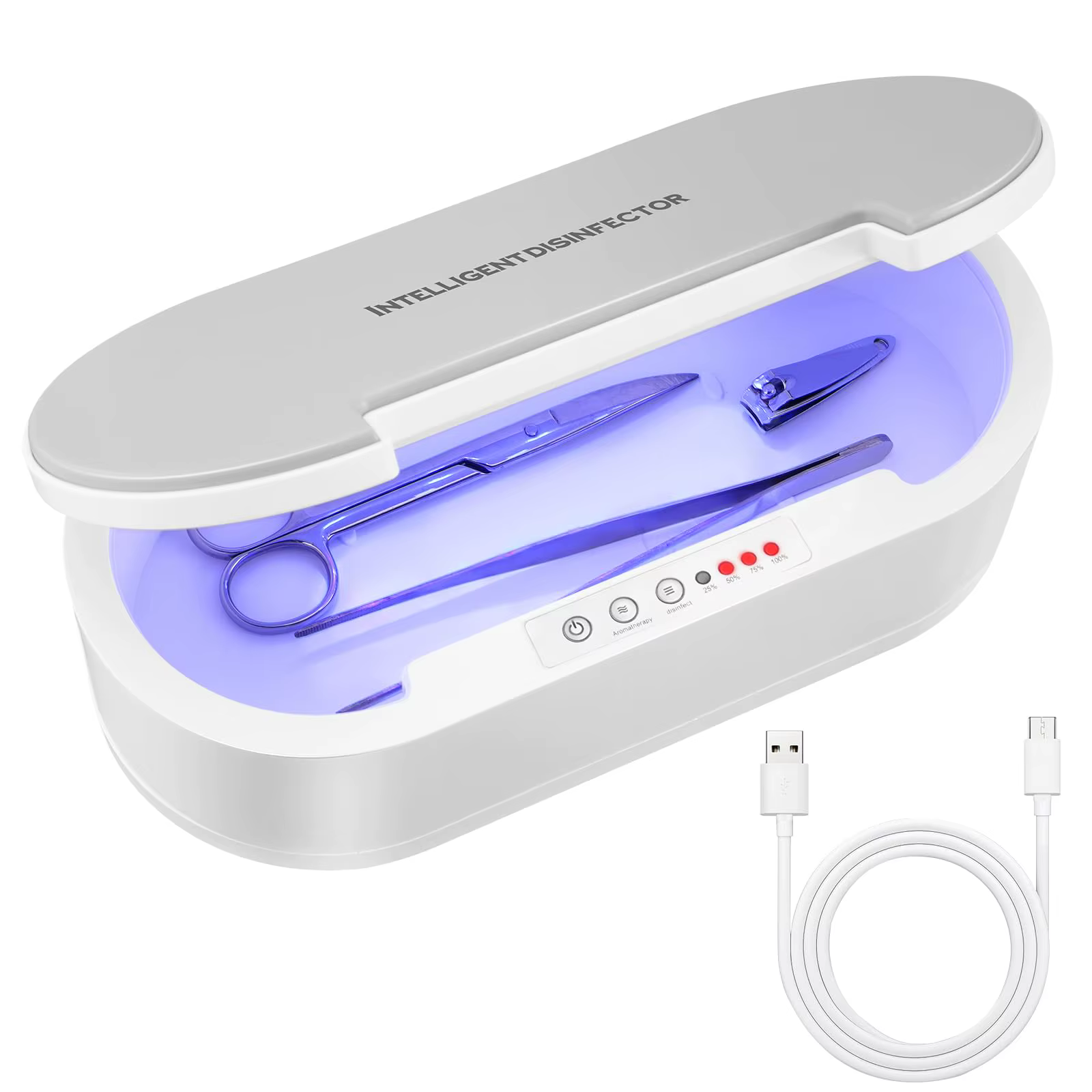 Boîte de désinfection à lumière ultraviolette pour salon de manucure, arabisateur d'outils de maquil