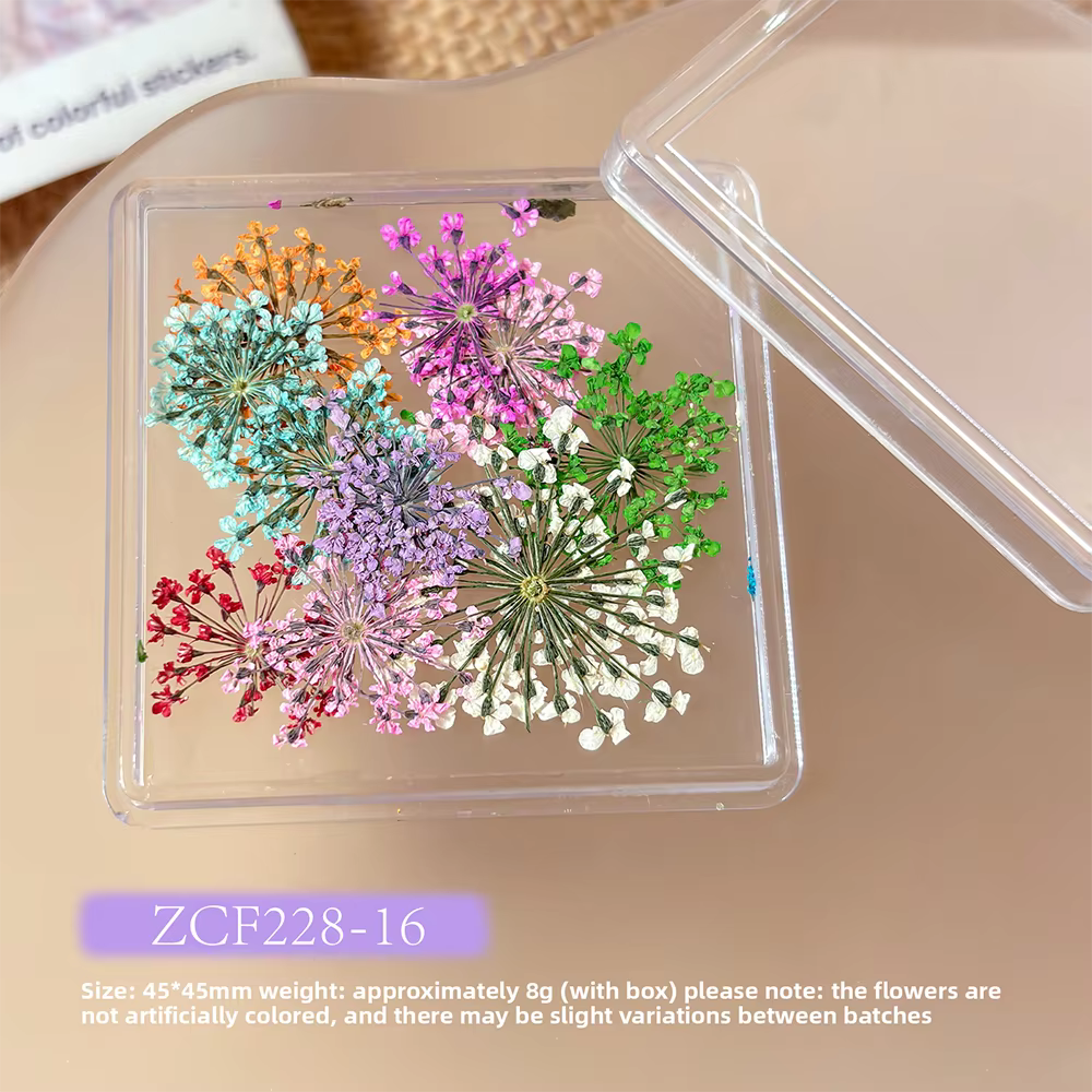 1 boîte de fleurs séchées 3D de style japonais pour la décoration des ongles - Fleurs séchées de gyp