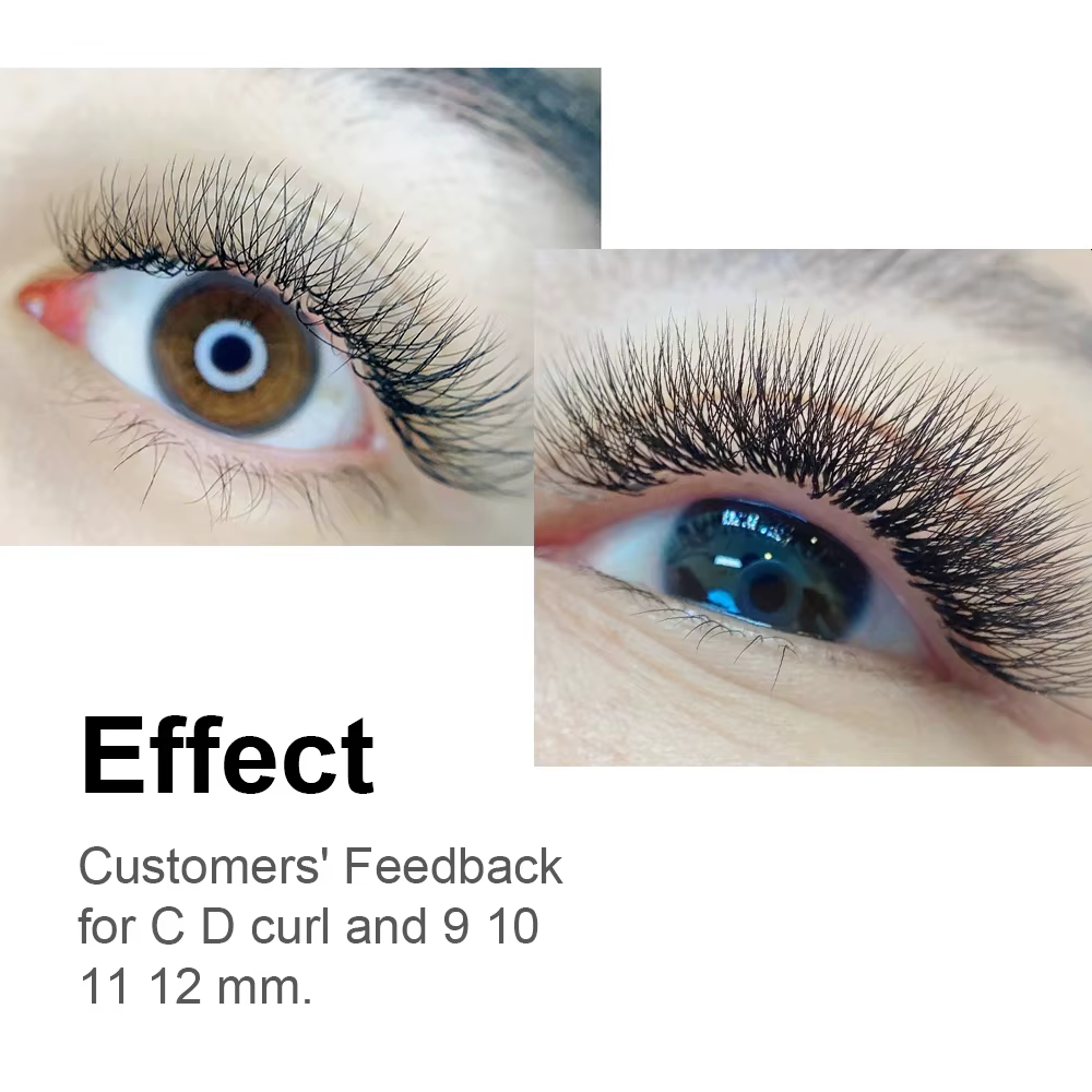 NAGARAKU 6D W forme floraison automatique Bloom ventilateurs préfabriqués Extensions de cils lumière
