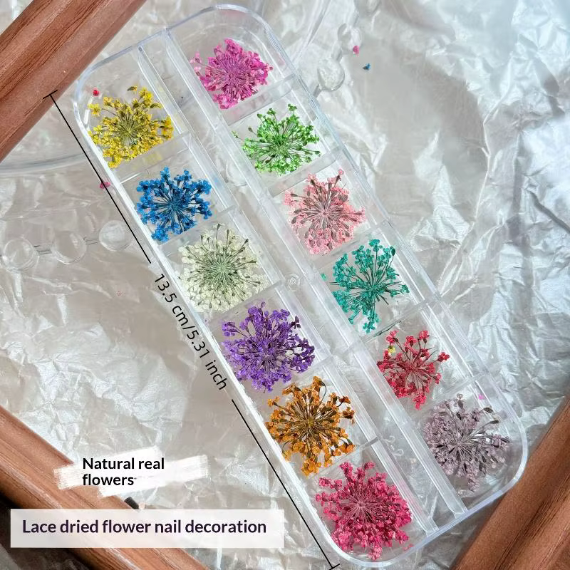 Ensemble de breloques pour ongles en fleurs séchées colorées pour manucure, 12 compartiments, décora