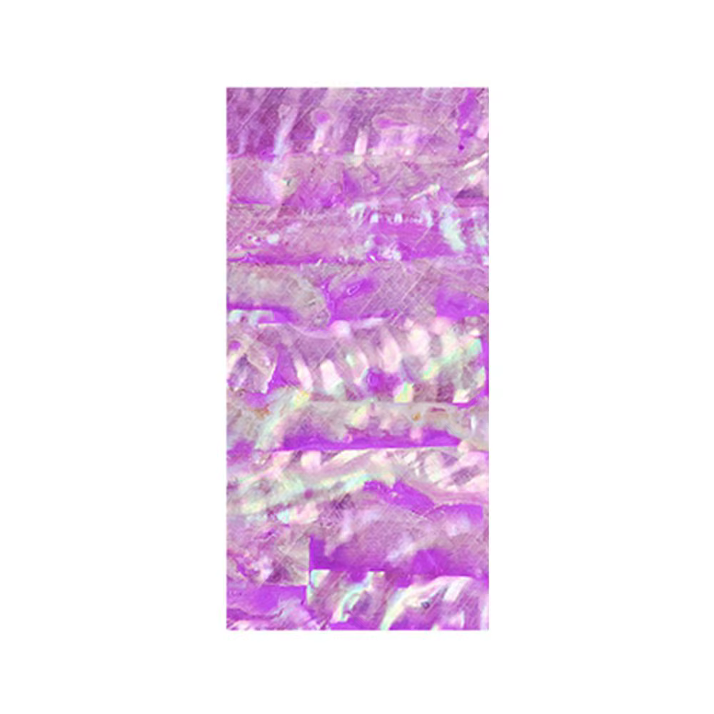Feuilles d'ongles scintillantes, tranche de coquille d'ormeau pour femmes, décoration Nail Art, déca