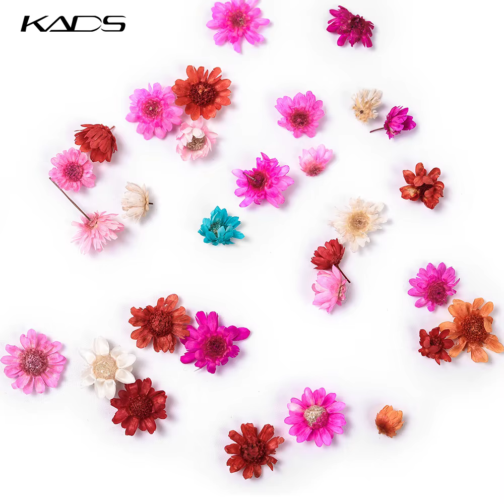 Fleurs séchées en 3D pour décoration des ongles