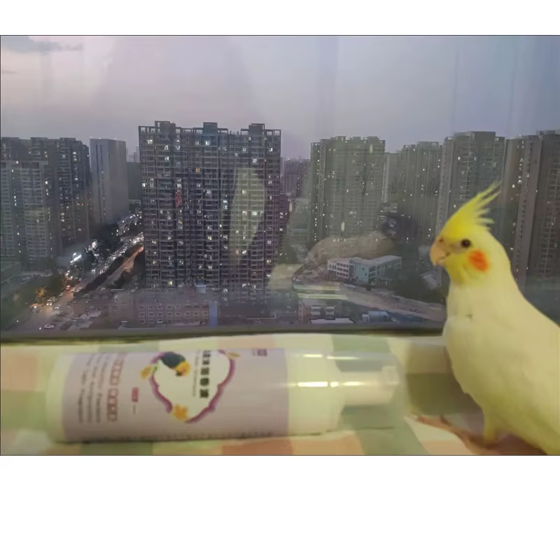 Shampoing douche pour oiseaux, calopsitte, cacatoès, perroquets, Gel douche, élimine les odeurs de poussière de plumes, plumes lumineuses, empêche les mordre les plumes