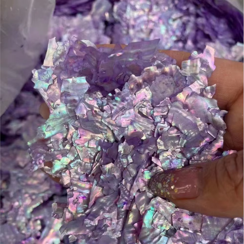 Breloques à ongles en coquillage d'ormeau naturel