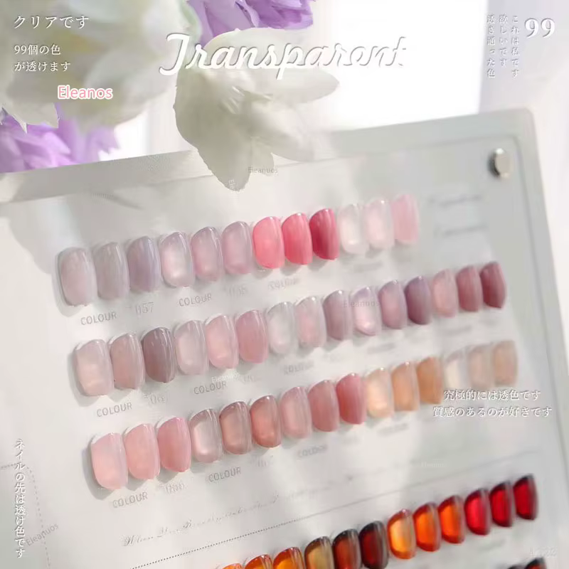 Eleanos nouveau Gel de glace 99 pièces ensemble de vernis à ongles Transparent magasin d'ongles spécial protection