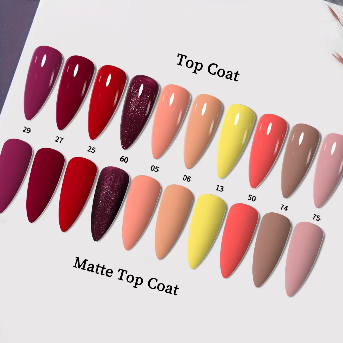 10 pièces de vernis à ongles gel de couleur unie pour une longue brillance