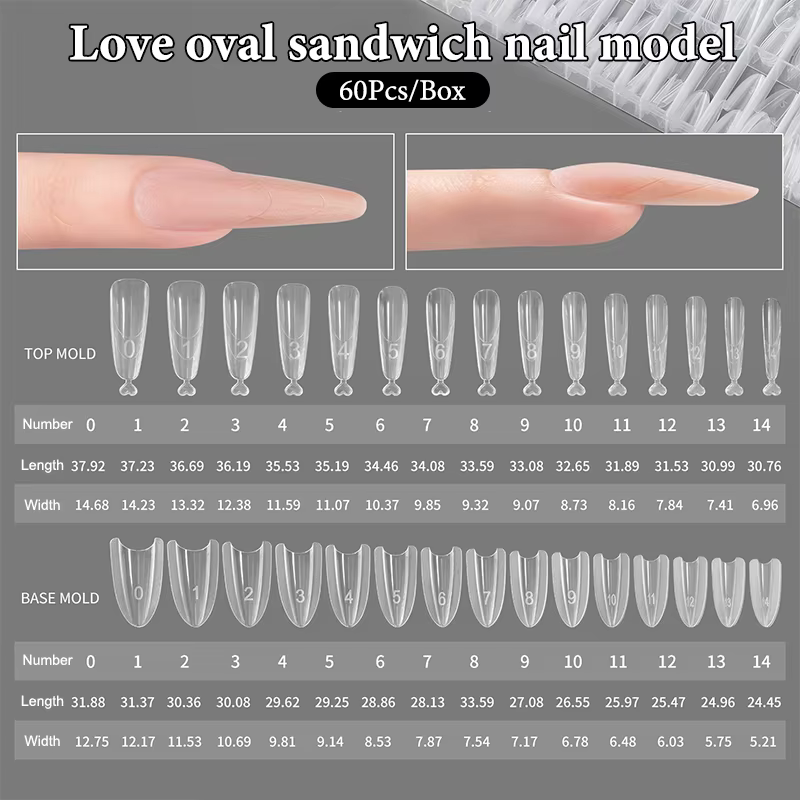 Formes à ongles doubles Sandwich 60 pièces 15 tailles pour extensions rapides
