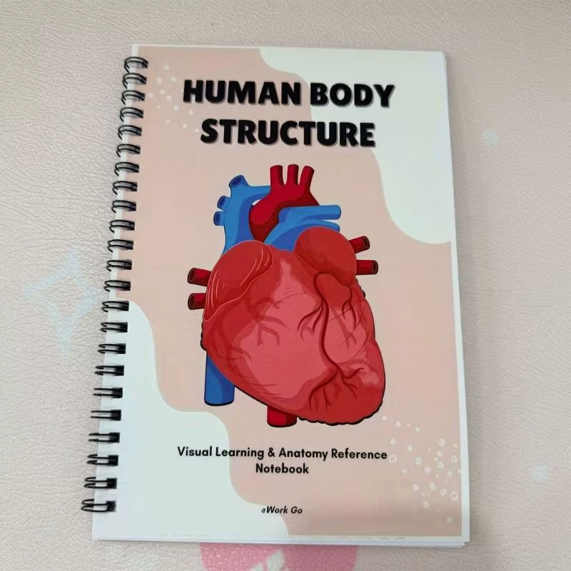 Cahier d'exercices détaillé sur le corps humain, parfait pour biologie l'enseignement des soins infirmiers, D2RC