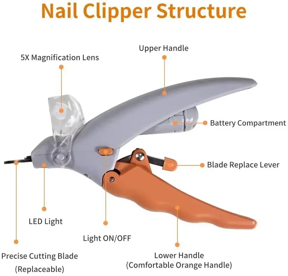 Ciseaux professionnels pour coupe-ongles pour animaux de compagnie, avec lumière LED, pour chat et chien, outil, ciseaux pour couper les griffes des orteils, fournitures pour animaux de compagnie