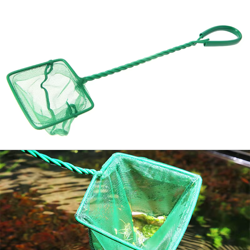 HXBB – filet à mailles fines pour Aquarium 3 "4" 5 "6" 8 "10", filtre d'écumage pour petits aquariums, avec poignée confortable