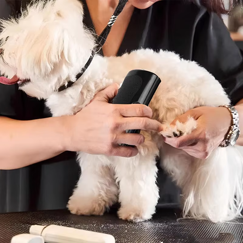 Brosse professionnelle multifonctionnelle ergonomique pour animaux de compagnie, outil de démêlage et de suppression des poils de chien
