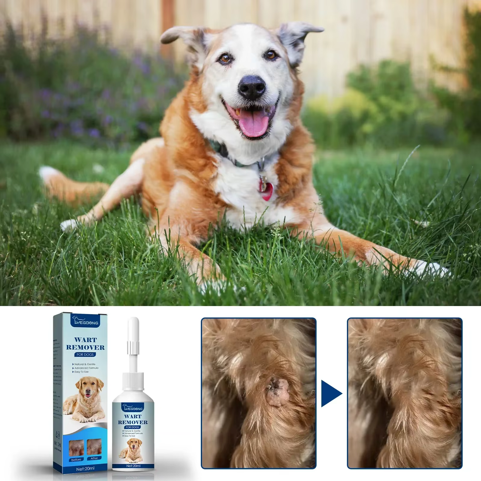 Dissolvant de verrues de chien, étiquettes de peau de chat, traitement contre les grains de beauté, traitement indolore des verrues, réparation de la peau, liquide de soin pour animaux de compagnie