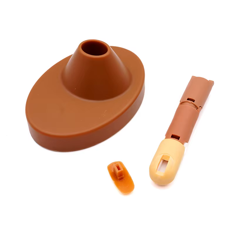 Modèle de pratique d'art d'ongle de main de formation