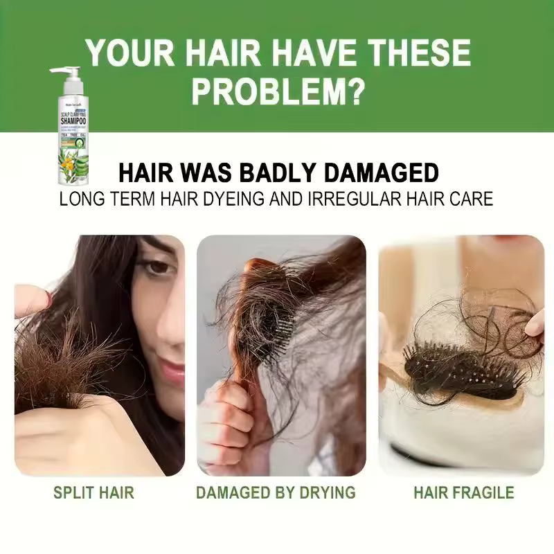 Shampoing clarifiant pour cuir chevelu sans sulfate Water Ice Levin avec huile d'arbre à thé et aloès – Hydrate le cuir chevelu sec, brille pour tous les types de cheveux