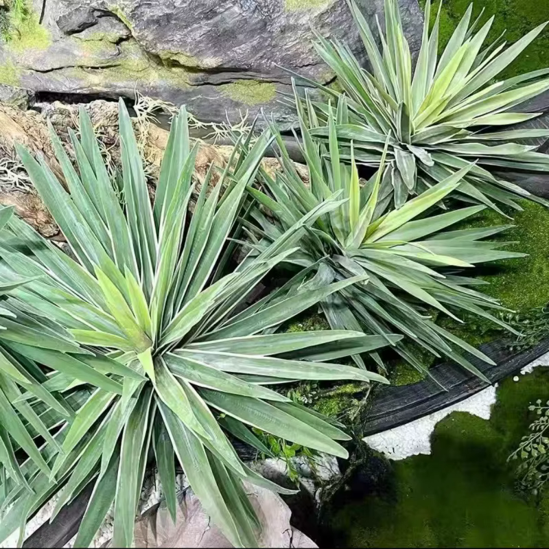 Plante artificielle en pot d'aloès et d'agave, désert Tropical, fausse succulente pour la décoration de la maison, bureau, salon, décoration verte