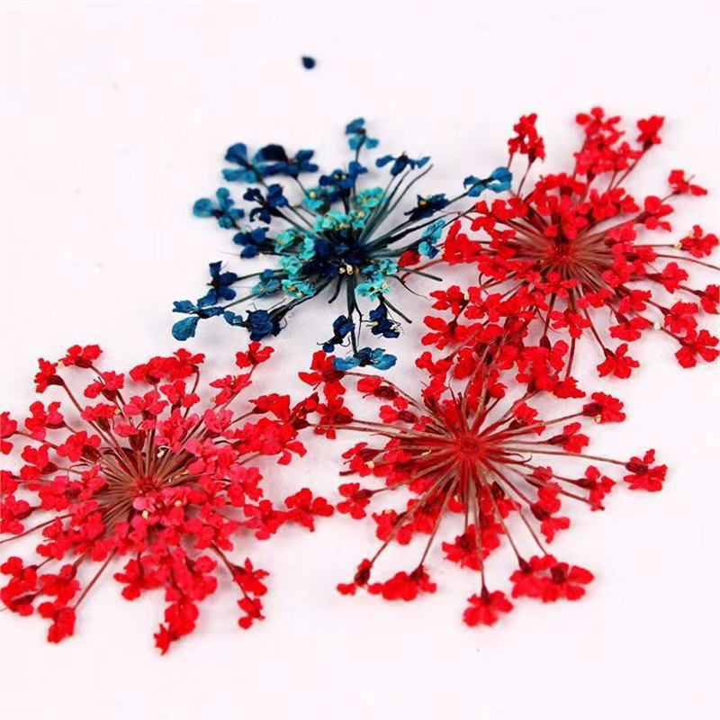 Décoration d'ongles avec fleurs séchées