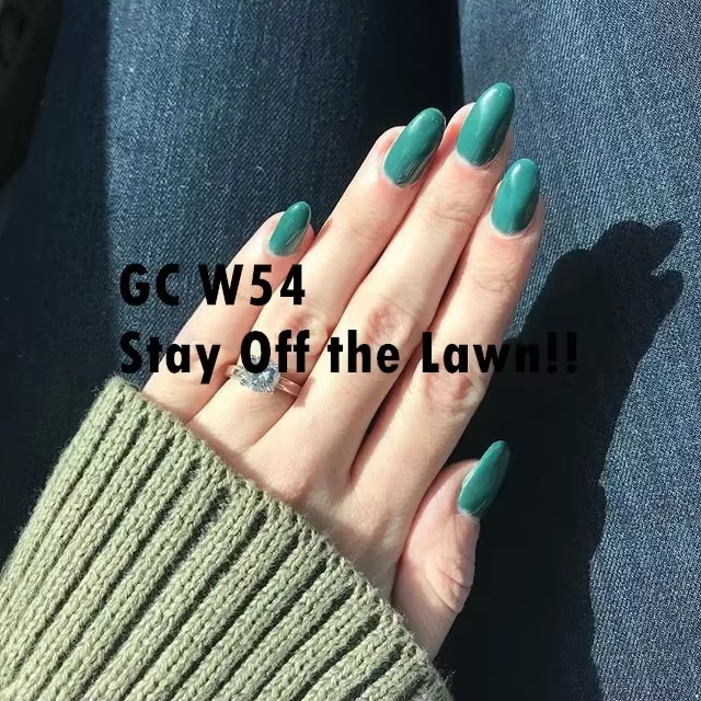 273 couleurs UV lampe à LED vernis à ongles Gel Opies