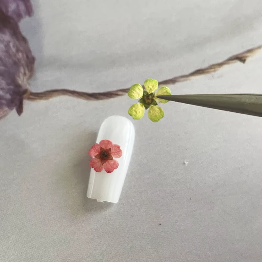 Arbre de corail-fleurs sèches ornement d'ongle 12 parties accessoire de fleur de corail néon fait à la main Mini