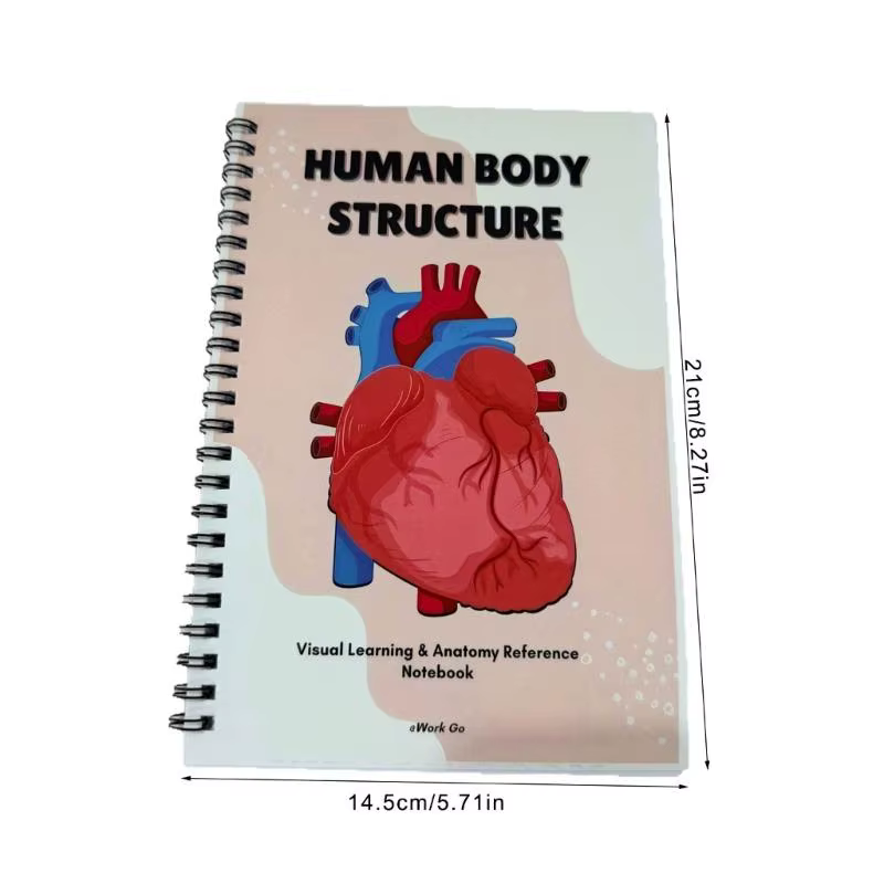 Cahier d'exercices détaillé sur le corps humain, parfait pour biologie l'enseignement des soins infirmiers, D2RC