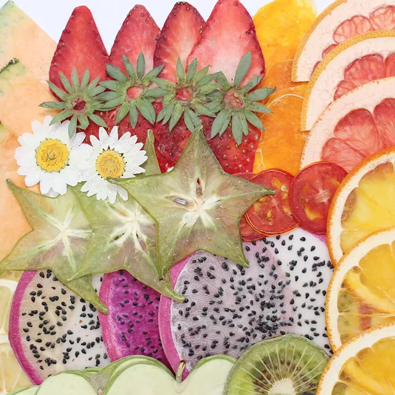 PMurcia séché fruits légumes tranche plante herbier, pour bijoux carte postale carte d'invitation coque de téléphone signet bougie signet bricolage
