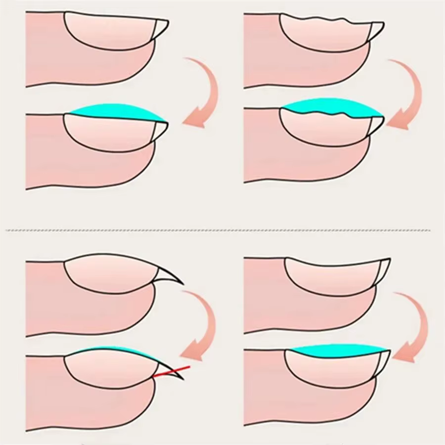 1/2 pièces couche de Base