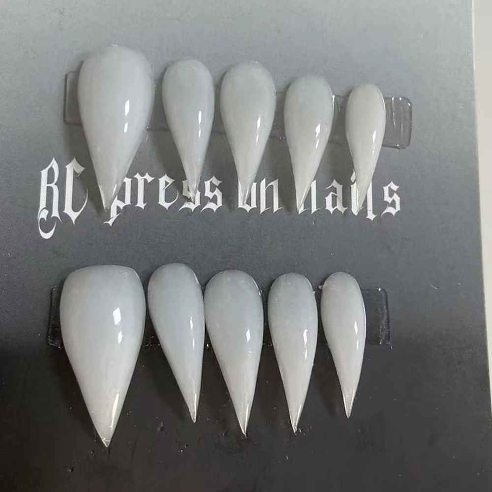 10 pièces fini Nail Art fait à la main Dragon armure aigle et chat griffe bête