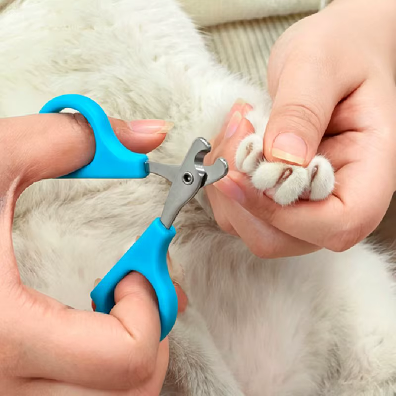 Coupe-ongles pour chien, ciseaux à ongles pour animaux de compagnie, coupe-ongles sans douleur pour chiens, nettoyage des griffes, toilettage des chiens, coupe-ongles pour chats, produits pour animaux