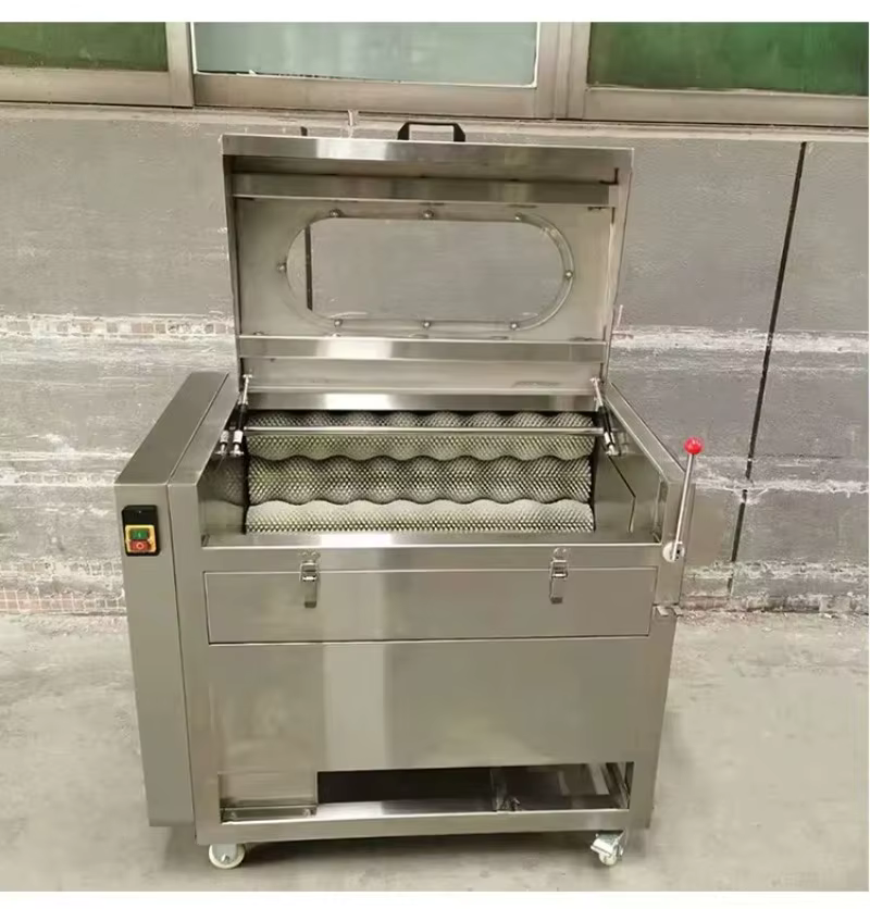 Machine industrielle de nettoyage et d'épluchage de pommes de terre à brosse rotative, laveuse de légumes, pour racines de lotus et huîtres, haute efficacité, personnalisable