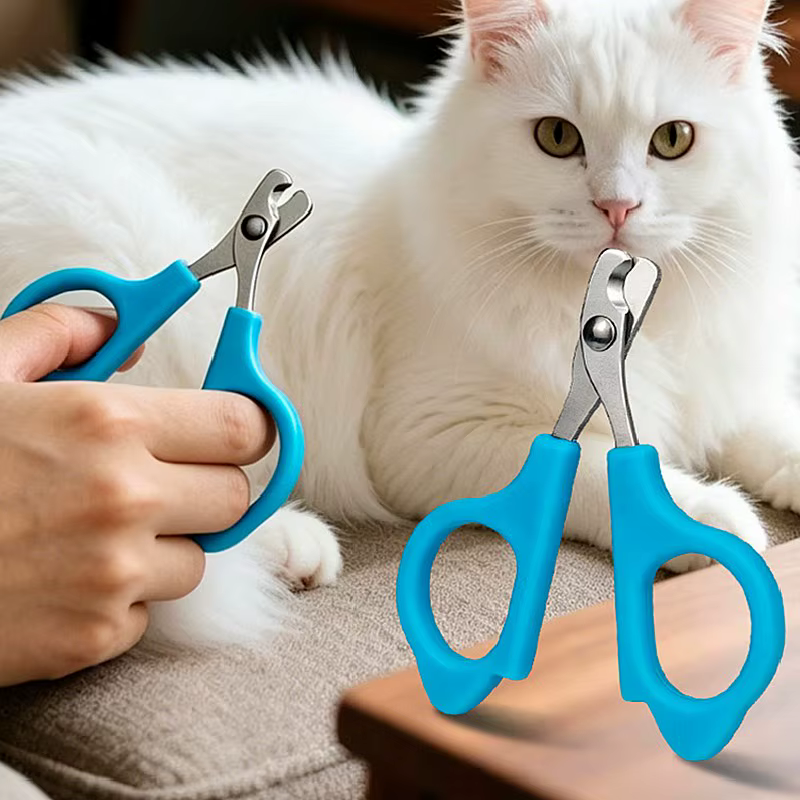 Coupe-ongles pour chien, ciseaux à ongles pour animaux de compagnie, coupe-ongles sans douleur pour chiens, nettoyage des griffes, toilettage des chiens, coupe-ongles pour chats, produits pour animaux