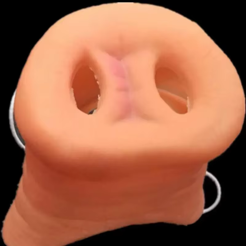 Masque de museau de cochon en Latex drôle, 2 pièces, faux nez d'animal artificiel, accessoire de Costume pour Halloween Cosplay | Terrifiant nez de déguisement de cochon