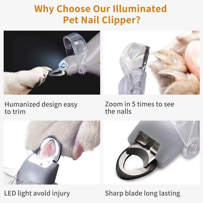 Ciseaux professionnels pour coupe-ongles pour animaux de compagnie, avec lumière LED, pour chat et chien, outil, ciseaux pour couper les griffes des orteils, fournitures pour animaux de compagnie