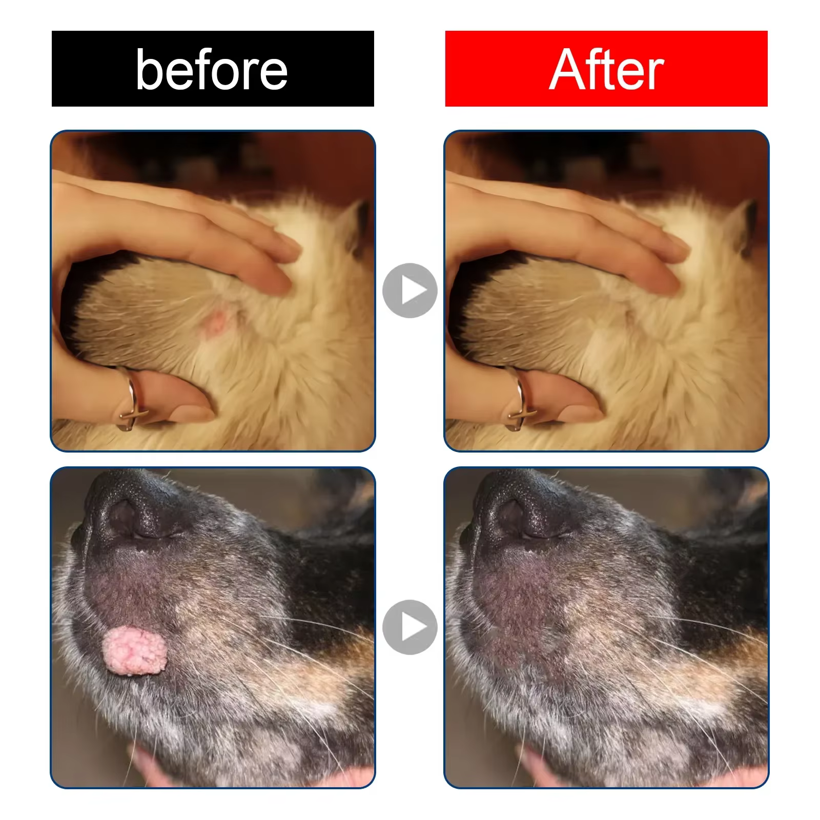 Dissolvant de verrues de chien, étiquettes de peau de chat, traitement contre les grains de beauté, traitement indolore des verrues, réparation de la peau, liquide de soin pour animaux de compagnie