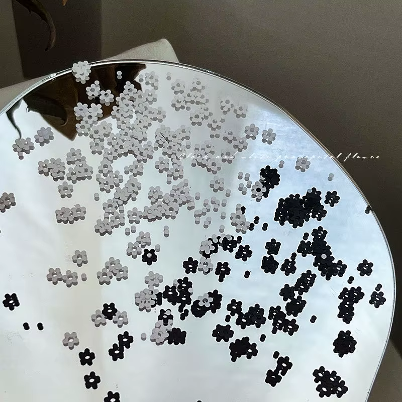 1 boîte de mini paillettes pour ongles en noir et blanc