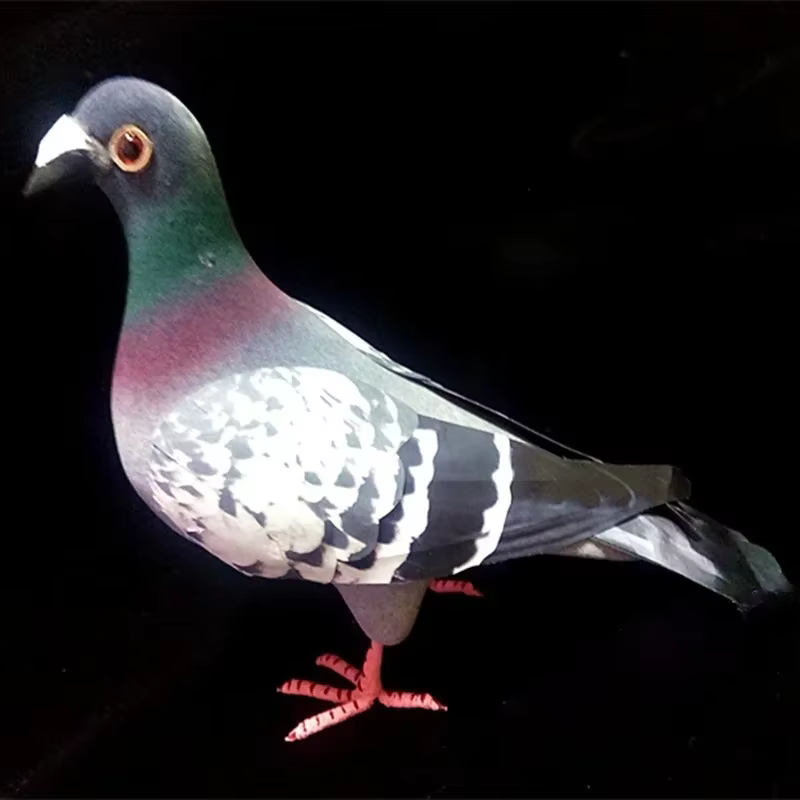 Modèle de Pigeon en mousse de Simulation de grande taille, faux oiseau artificiel, Animal, ornement de jardin de maison, décoration Miniature