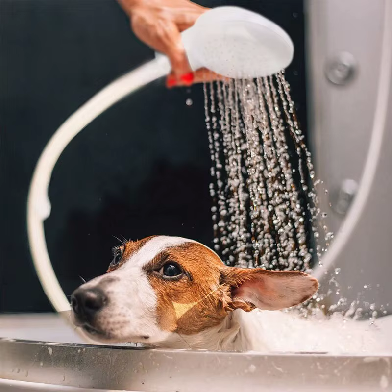 Douche de bain pour animaux de compagnie, douche multifonctionnelle pour chien et chat, bain facile, pulvérisateur de jardin, nettoyage des animaux de compagnie, outils de toilettage, fournitures