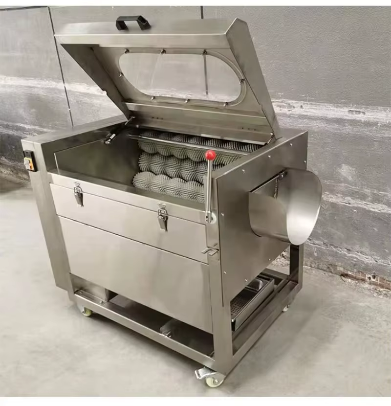 Machine industrielle de nettoyage et d'épluchage de pommes de terre à brosse rotative, laveuse de légumes, pour racines de lotus et huîtres, haute efficacité, personnalisable