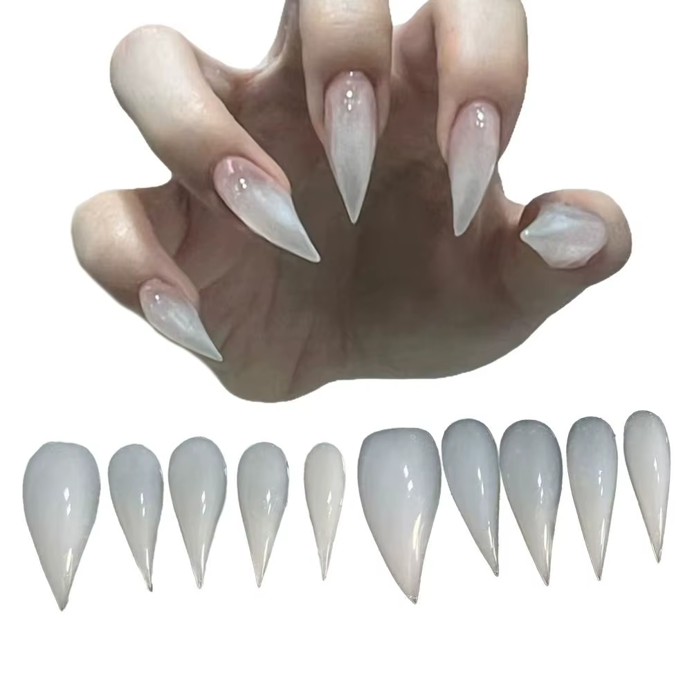 10 pièces fini Nail Art fait à la main Dragon armure aigle et chat griffe bête