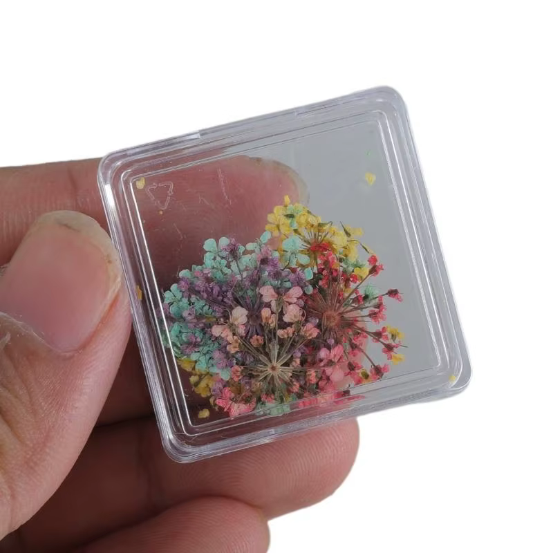 Nails fleurs séchées Charms japonais charmes