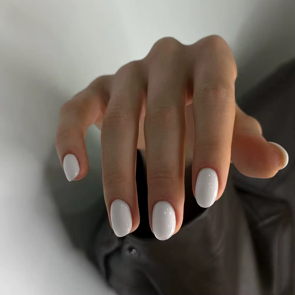 Ongles d'élipse courts 144 pièces