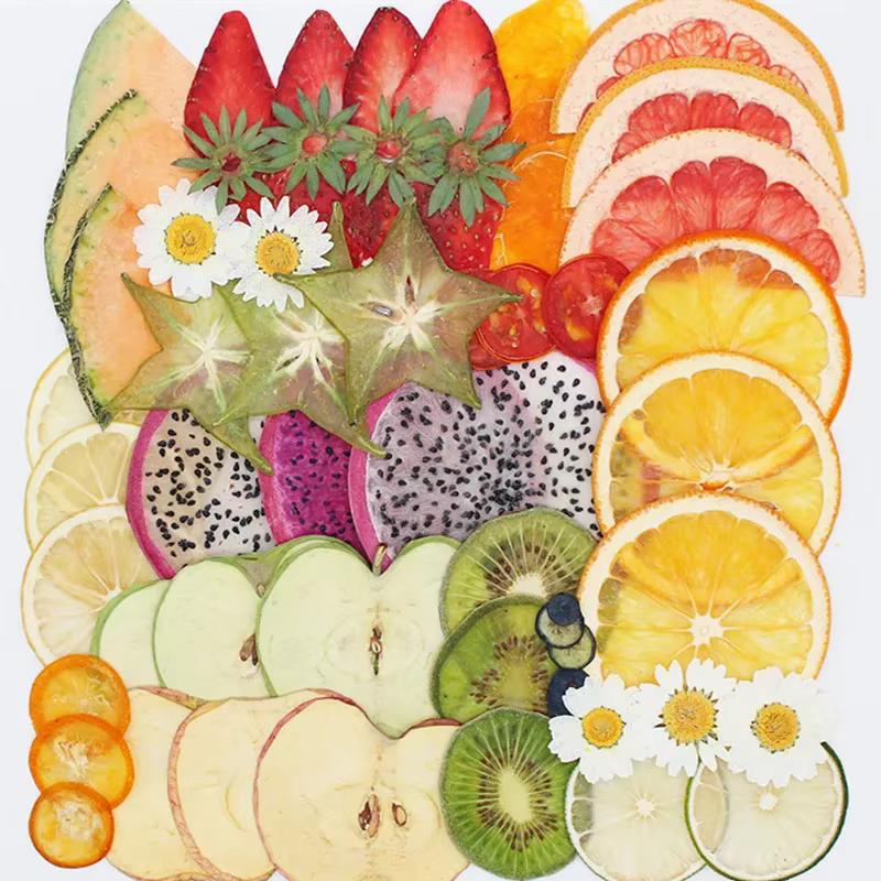 PMurcia séché fruits légumes tranche plante herbier, pour bijoux carte postale carte d'invitation coque de téléphone signet bougie signet bricolage