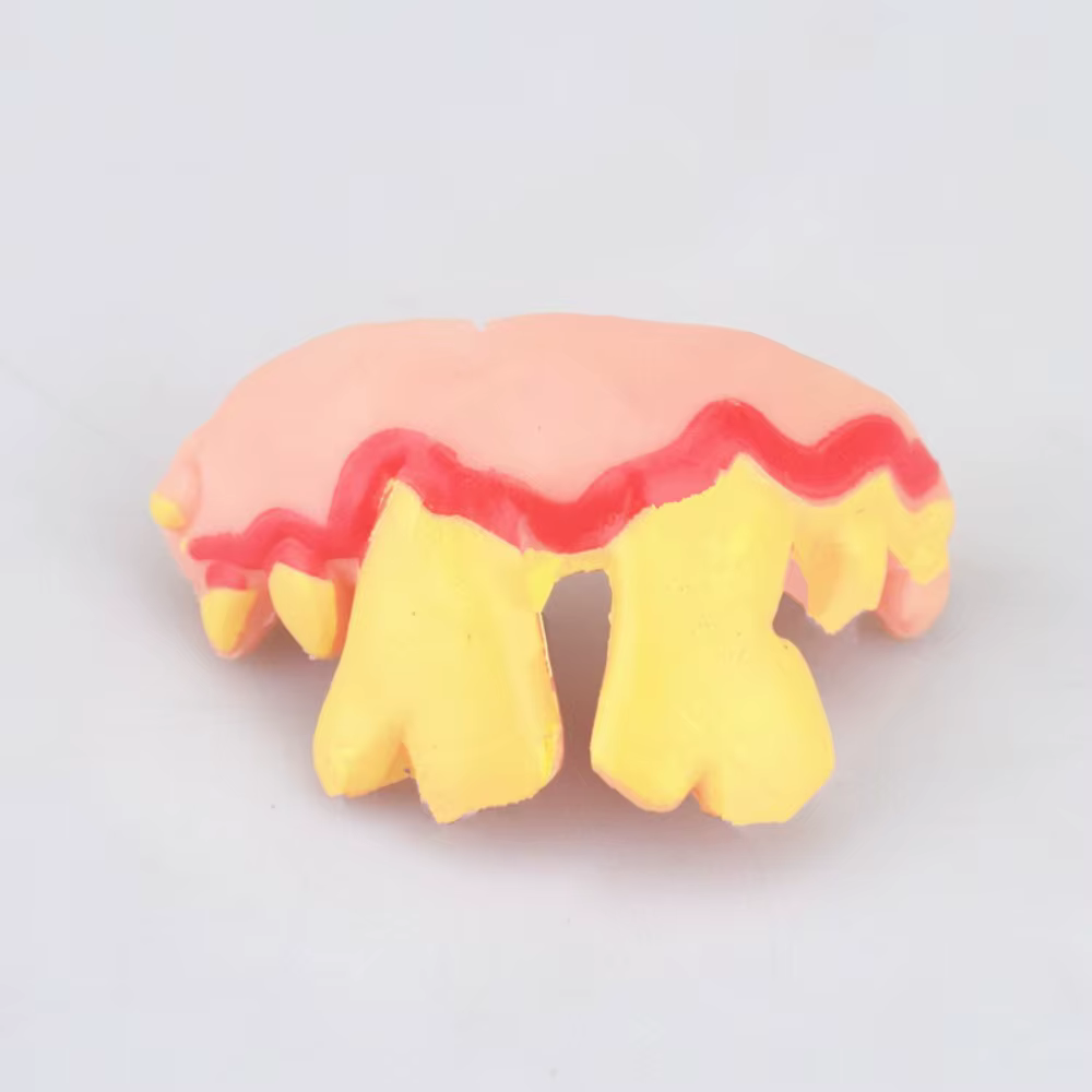 Prothèses dentaires amusantes, 10 styles, dents laides, jouet en caoutchouc, fausses dents, accessoire de décoration d'halloween