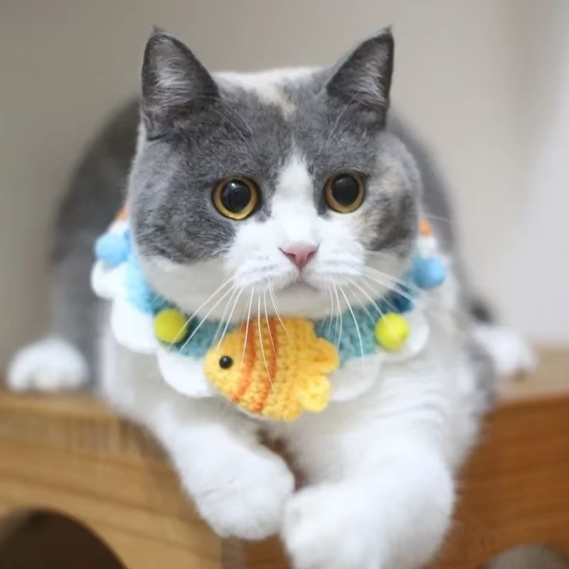 Colliers et bavoirs pour chiens et chats, accessoires pour animaux de compagnie, décorations mignonnes, motifs floraux et animaux, articles pour animaux, accessoires pour chats