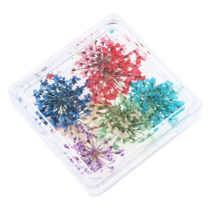 Nails fleurs séchées Charms japonais charmes